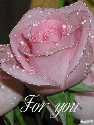 Beautiful Flowers Pink Roses For You GIF