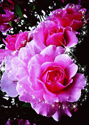 Beautiful Flowers Pink Roses Glitter GIF