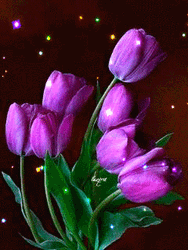 Beautiful Flowers Purple Tulips Sparkling GIF
