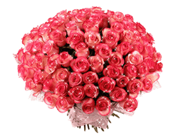 Beautiful Flowers Red Sparkling Roses GIF