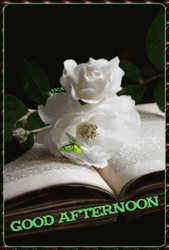 Beautiful Good Afternoon Aesthetic Book Flower GIF