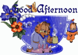 Beautiful Good Afternoon Garfield Tea GIF