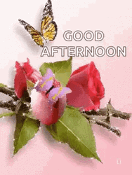 Beautiful Good Afternoon Glitter Butterflies GIF