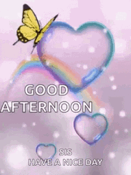 Beautiful Good Afternoon Hearts Butterfly GIF
