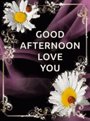 Beautiful Good Afternoon Love You GIF
