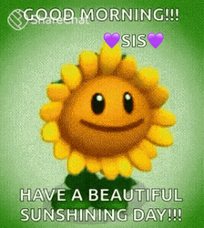 Beautiful Good Morning Happy Sunflower GIF