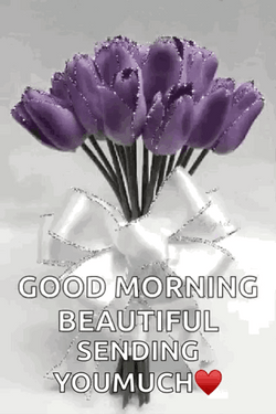 Beautiful Good Morning Sparkling Purple Flower GIF