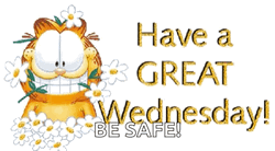 Beautiful Good Morning Wednesday Garfield GIF