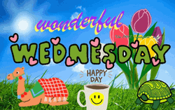 Beautiful Good Morning Wednesday Picnic GIF