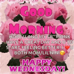 Beautiful Good Morning Wednesday Pink Roses GIF