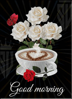 Beautiful Good Morning With White Rose GIF