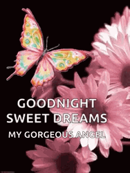 Beautiful Good Night Sweet Dreams My Gorgeous Angel GIF