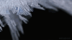 Beautiful Growing Snowflake GIF