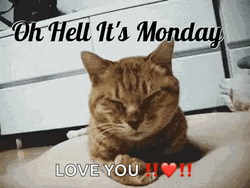 Beautiful Happy Monday Cute Cat GIF