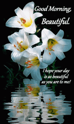 Beautiful Happy Monday Good Morning Beautiful GIF