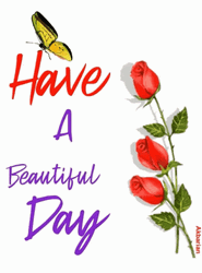 Beautiful Monday Pretty Flower Yellow Butterfly GIF