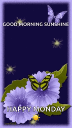Beautiful Monday Purple Butterflies GIF