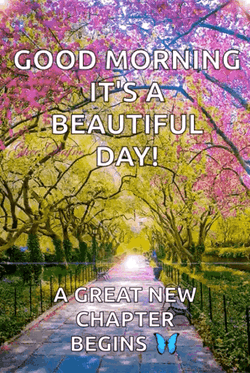 Beautiful Monday Sunny Floral Day GIF