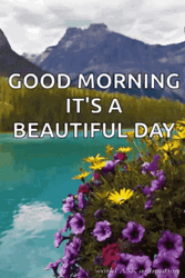 Beautiful Morning Amazing Nature GIF