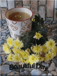 Beautiful Morning Daisy Coffee GIF