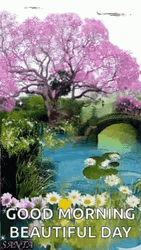 Beautiful Morning Nature Lake GIF