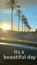 Beautiful Morning Sunrise Drive GIF
