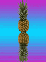 Beautiful Pineapple Retro Reflection GIF