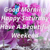 Beautiful Pink Flowers Saturday Morning GIF