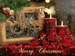Beautiful Red Candles Christmas Card GIF