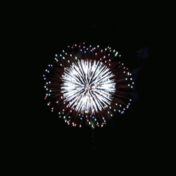 Beautiful Silver Firework GIF