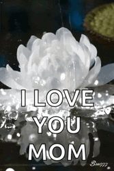 Beautiful Sparkling White Flower Love You Mom  GIF