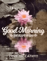 Beautiful Special Good Morning GIF