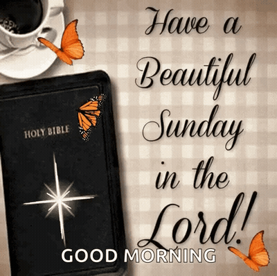 Beautiful Sunday With Bible And Butterflies GIF