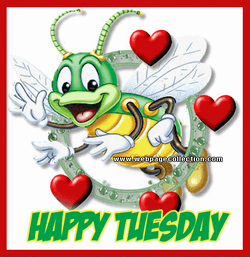 Beautiful Tuesday Animated Bug GIF