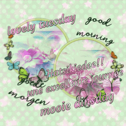 Beautiful Tuesday Flower Rings GIF