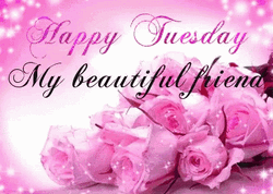 Beautiful Tuesday Pink Tulip GIF