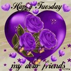 Beautiful Tuesday Purple Roses GIF