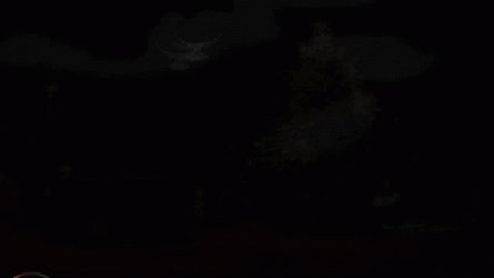Beautiful White Doves Merry Christmas GIF