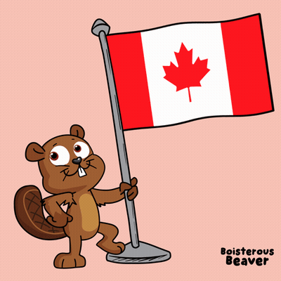 Beaver Holding Canadian Flag GIF