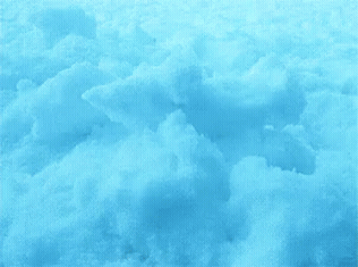 Beaver Laying In Snow With Head Sticking Out GIF