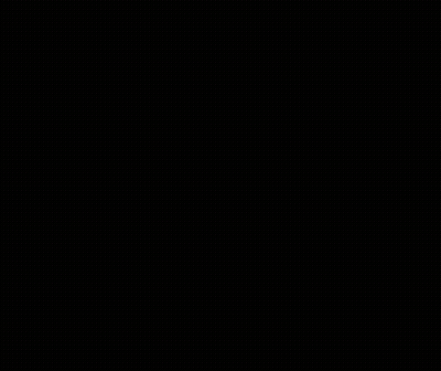 Beaver Looking At Camera Dam GIF
