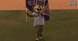 Beaver Mascot Funny Celebration GIF