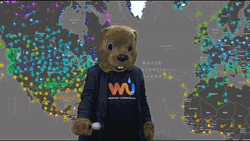Beaver Weatherman Mic Drop GIF