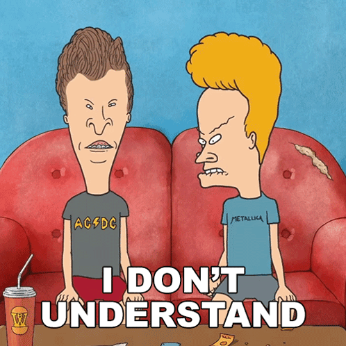 Beavis And Butthead Sitting On Couch I Don't Understand GIF