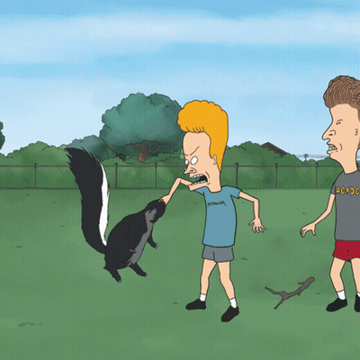 Beavis And Butthead With Skunk GIF