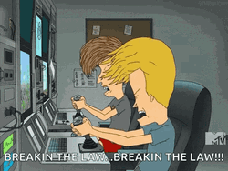 Beavis Breakin The Law GIF