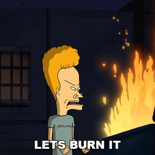 Beavis From Beavis And Butthead Is Standing In Front Of A Fire With The Words Let 'S Burn It Below Him GIF