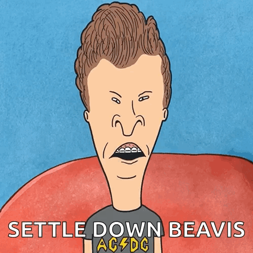 Beavis From Beavis And Butthead GIF
