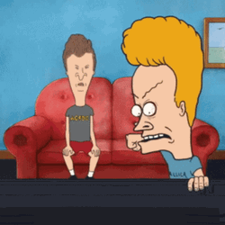 Beavis Punched The Tv Screen GIF