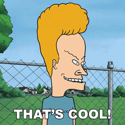 Beavis Thats Cool GIF